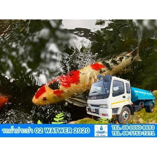 Fish pond water replenishment service